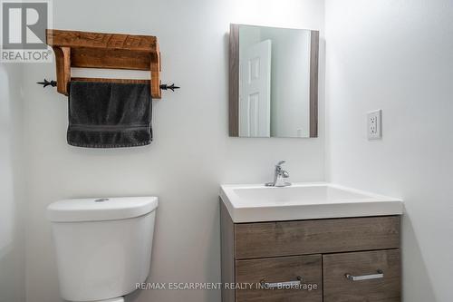 44 Mount Pleasant Drive, Hamilton, ON - Indoor Photo Showing Bathroom