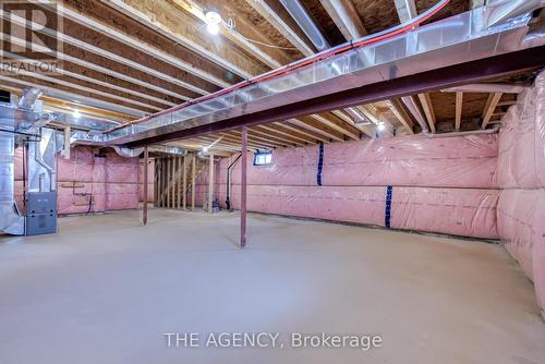 225 Palace Street, Thorold, ON - Indoor Photo Showing Basement