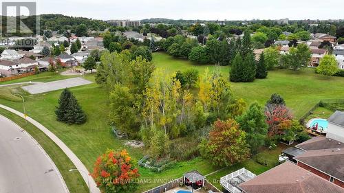 258 Keewatin Avenue, Kitchener, ON - Outdoor With View