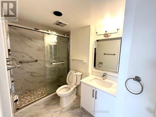 206 - 22 Clarissa Drive, Richmond Hill, ON - Indoor Photo Showing Bathroom