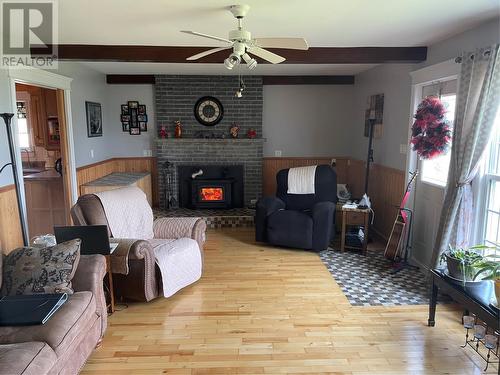 97 Rodgers Cove Road, Rodgers Cove, NL - Indoor Photo Showing Living Room With Fireplace