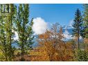 2281 Airport Way, Revelstoke, BC  - Outdoor With View 