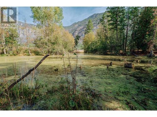 Lot 2 4Th Street, Lister, BC 