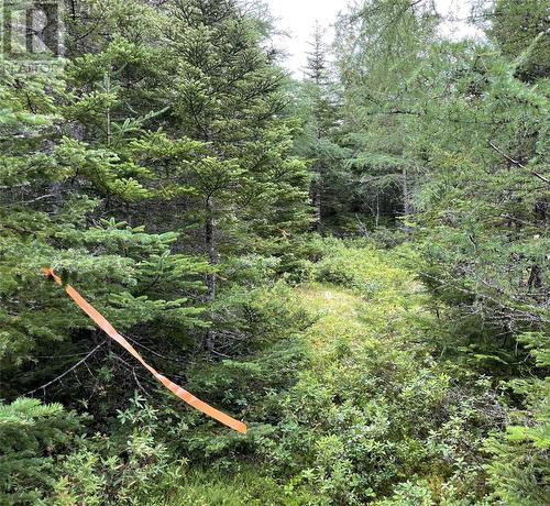 0 Salmonier Line, Holyrood, NL 