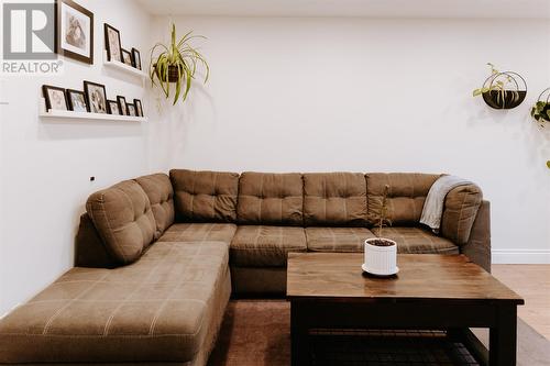 19 Johnson Street, Gander, NL - Indoor Photo Showing Living Room