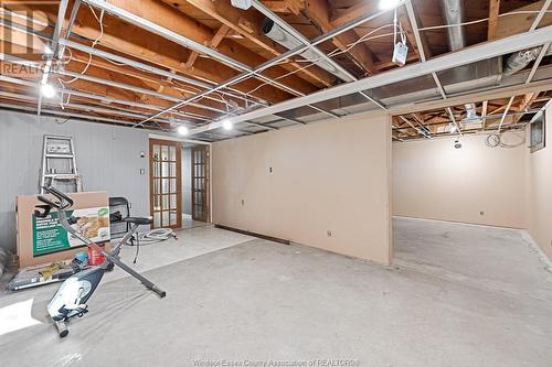 3359 North Malden, Essex, ON - Indoor Photo Showing Basement