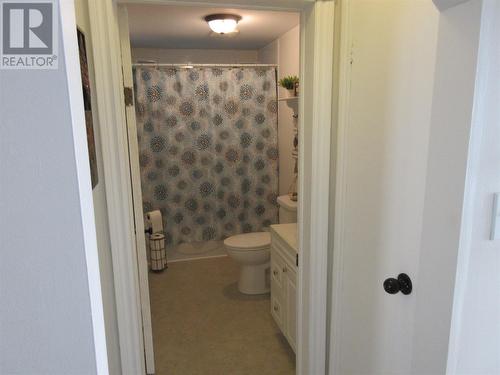 426 Main Street, Bishop'S Falls, NL - Indoor Photo Showing Bathroom