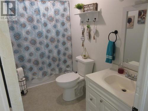 426 Main Street, Bishop'S Falls, NL - Indoor Photo Showing Bathroom