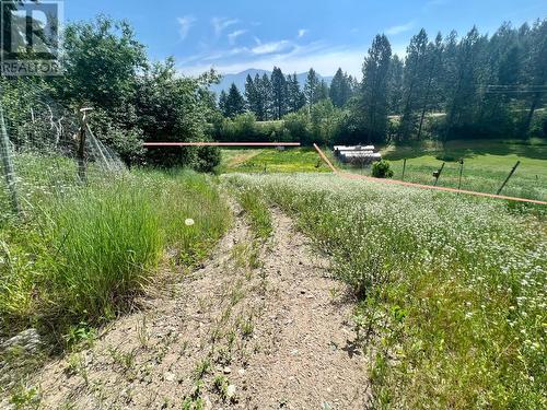 8875 North Fork Road, Grand Forks, BC - Outdoor With View