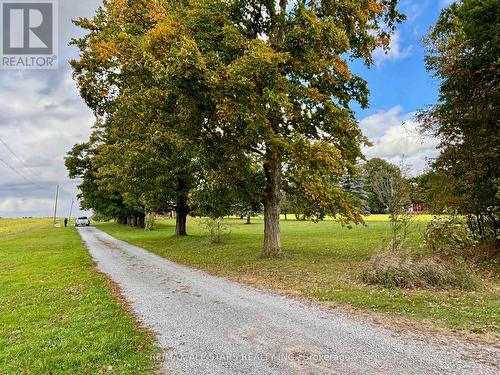 2205 Concession 6, Brock, ON - Outdoor With View