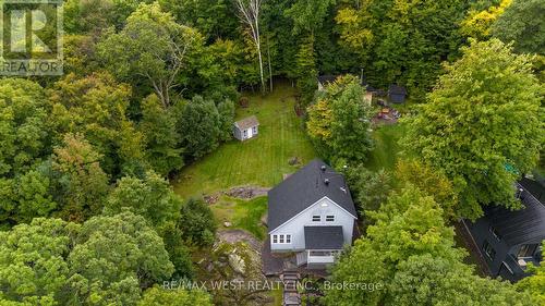 35 Todholm Drive, Muskoka Lakes, ON - Outdoor