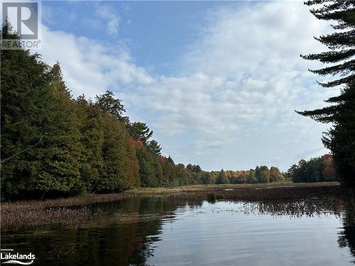 53 Birdwood Drive, Mcdougall, ON - Outdoor With Body Of Water With View