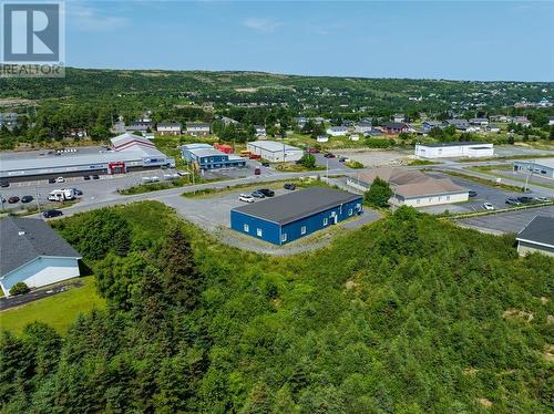 22 Goff Avenue, Carbonear, NL 