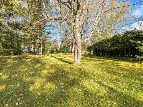 ExtÃ©rieur - 730  - 736 Rue Dion, Sainte-Adèle, QC - Outdoor With View