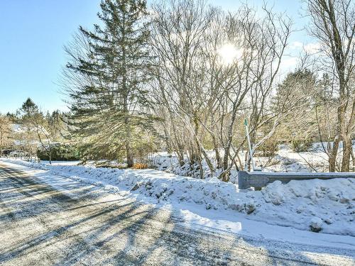 ExtÃ©rieur - 730  - 736 Rue Dion, Sainte-Adèle, QC - Outdoor With View