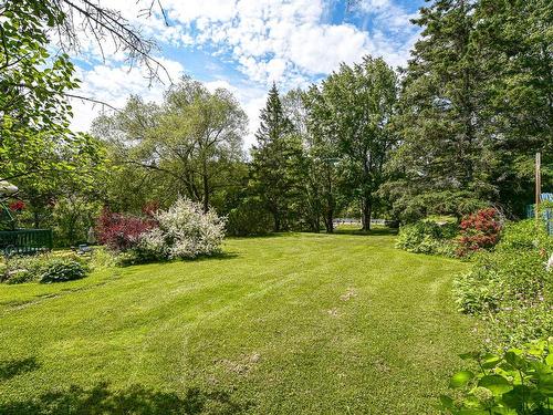 Backyard - 730  - 736 Rue Dion, Sainte-Adèle, QC - Outdoor