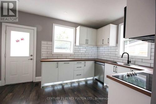 58 Burton Street, Hamilton, ON - Indoor Photo Showing Kitchen With Double Sink