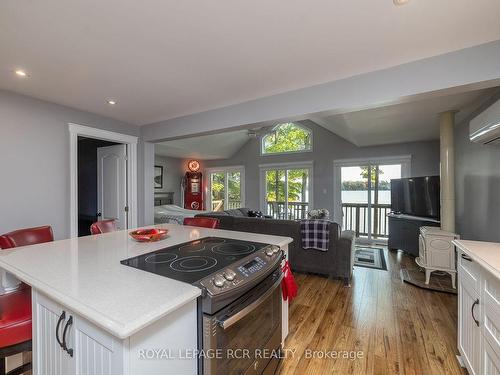 173 Macdonalds Rd, Grey Highlands, ON - Indoor Photo Showing Kitchen