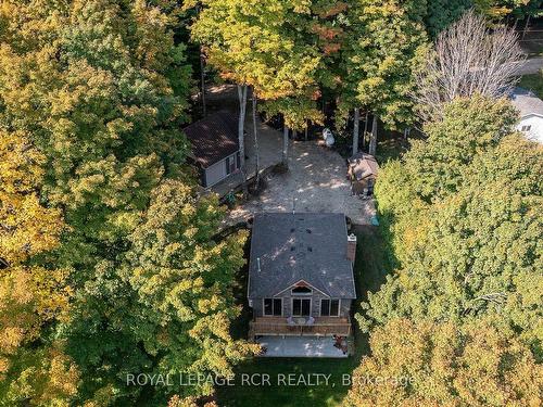 173 Macdonalds Rd, Grey Highlands, ON - Outdoor