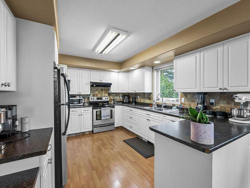 119 Fernie Place, Kamloops, BC - Indoor Photo Showing Kitchen With Double Sink