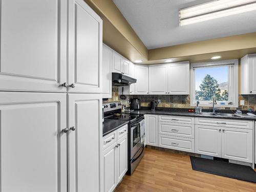 119 Fernie Place, Kamloops, BC - Indoor Photo Showing Kitchen With Double Sink