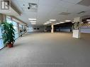 1739 Dundas Street E, Mississauga, ON 