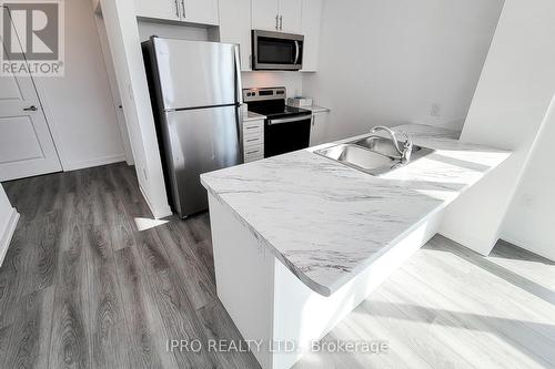 112 - 470 Dundas Street East Street, Hamilton, ON - Indoor Photo Showing Kitchen With Stainless Steel Kitchen With Double Sink