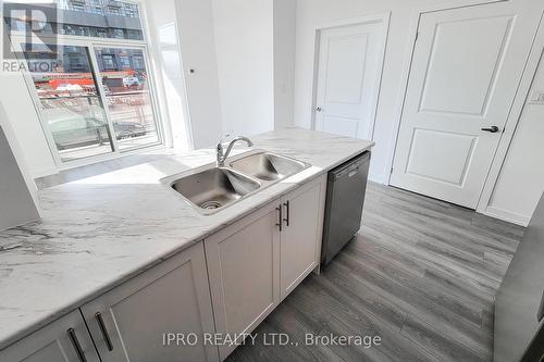 112 - 470 Dundas Street East Street, Hamilton, ON - Indoor Photo Showing Kitchen With Double Sink