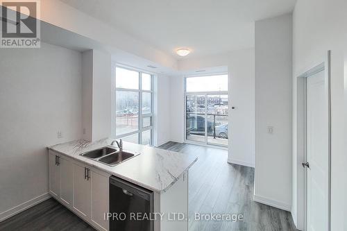 112 - 470 Dundas Street East Street, Hamilton, ON - Indoor Photo Showing Kitchen With Double Sink