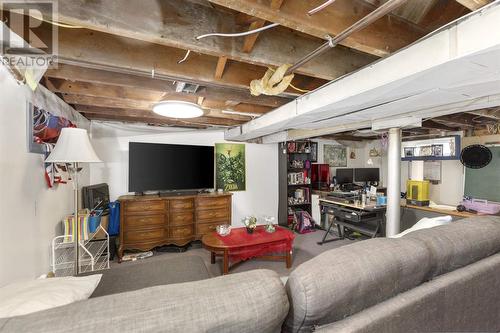 229 Goulais Ave, Sault Ste. Marie, ON - Indoor Photo Showing Basement