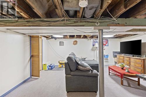 229 Goulais Ave, Sault Ste. Marie, ON - Indoor Photo Showing Basement