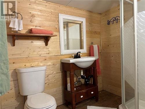 19B Moores Beach Road, Westmeath, ON - Indoor Photo Showing Bathroom