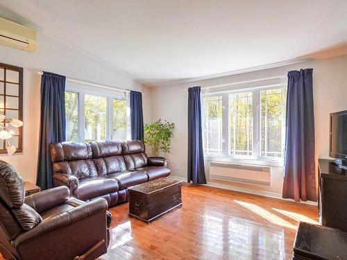 Living room - 135 Rue St-Jean, Saint-Calixte, QC - Indoor Photo Showing Living Room