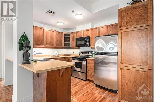 400 Mcleod Street Unit#201, Ottawa, ON - Indoor Photo Showing Kitchen With Double Sink