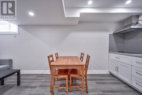 Lower - 195 Greti Drive, Hamilton, ON - Indoor