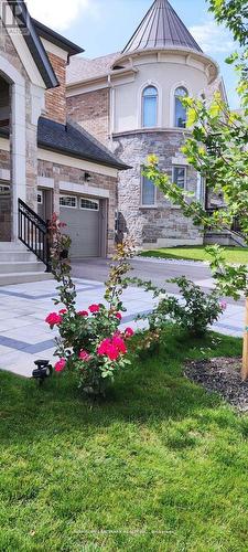 25 Mower Avenue, Vaughan, ON - Outdoor