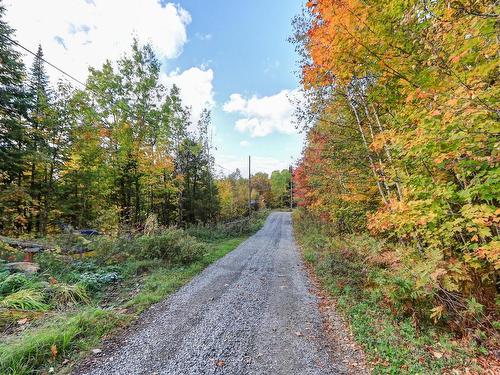 Land/Lot - Rue Louisa, Sainte-Émélie-De-L'Énergie, QC 