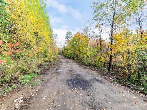 Land/Lot - Rue Louisa, Sainte-Émélie-De-L'Énergie, QC 