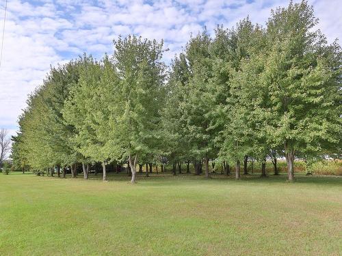 Land/Lot - 665 Rue Principale, Saint-Paul-De-L'Île-Aux-Noix, QC - Outdoor With View