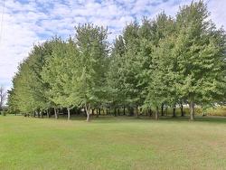 Land/Lot - 