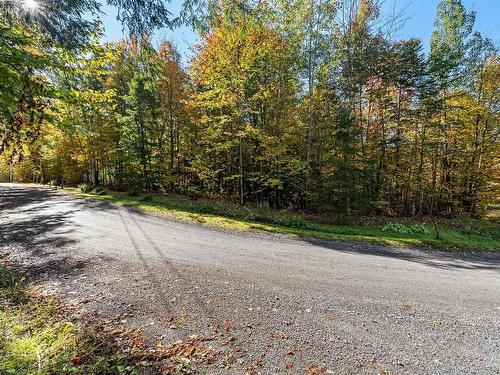 Land/Lot - Rue Wilkinson, Dunham, QC 