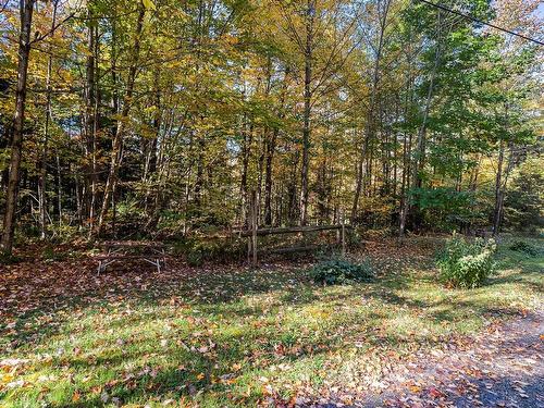 Land/Lot - Rue Wilkinson, Dunham, QC 