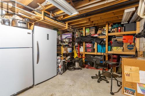 490 County Road 49, Kawartha Lakes (Bobcaygeon), ON - Indoor Photo Showing Basement