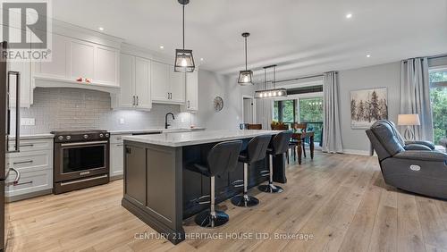 39 Gibbons Street, Norfolk, ON - Indoor Photo Showing Kitchen With Upgraded Kitchen