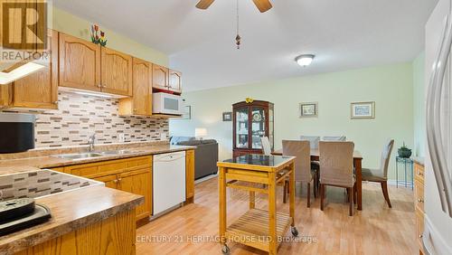 209 - 111 Grey Street, Brantford, ON - Indoor Photo Showing Kitchen With Double Sink