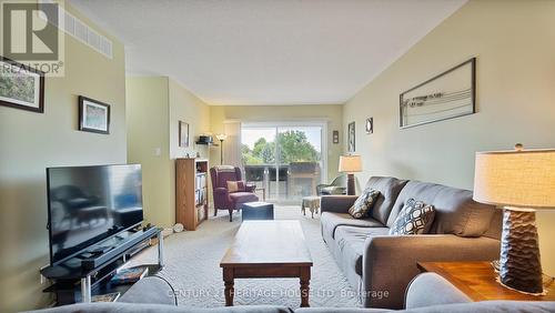 209 - 111 Grey Street, Brantford, ON - Indoor Photo Showing Living Room