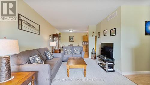 209 - 111 Grey Street, Brantford, ON - Indoor Photo Showing Living Room