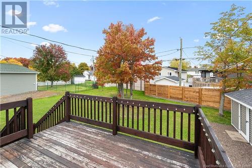 11 Darla Court, Moncton, NB - Outdoor With Deck Patio Veranda