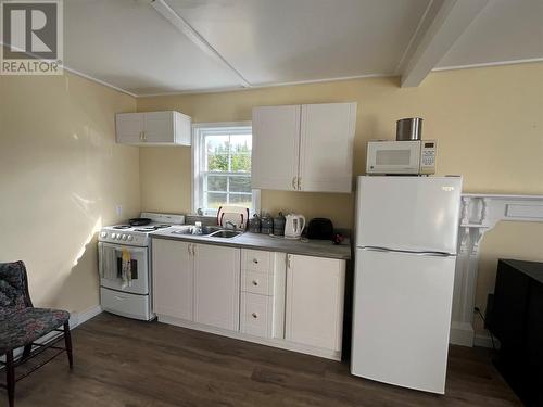 10 Station Road, Ochre Pit Cove, NL - Indoor Photo Showing Kitchen With Double Sink