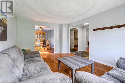 109 Biehn Drive, Kitchener, ON - Indoor Photo Showing Living Room